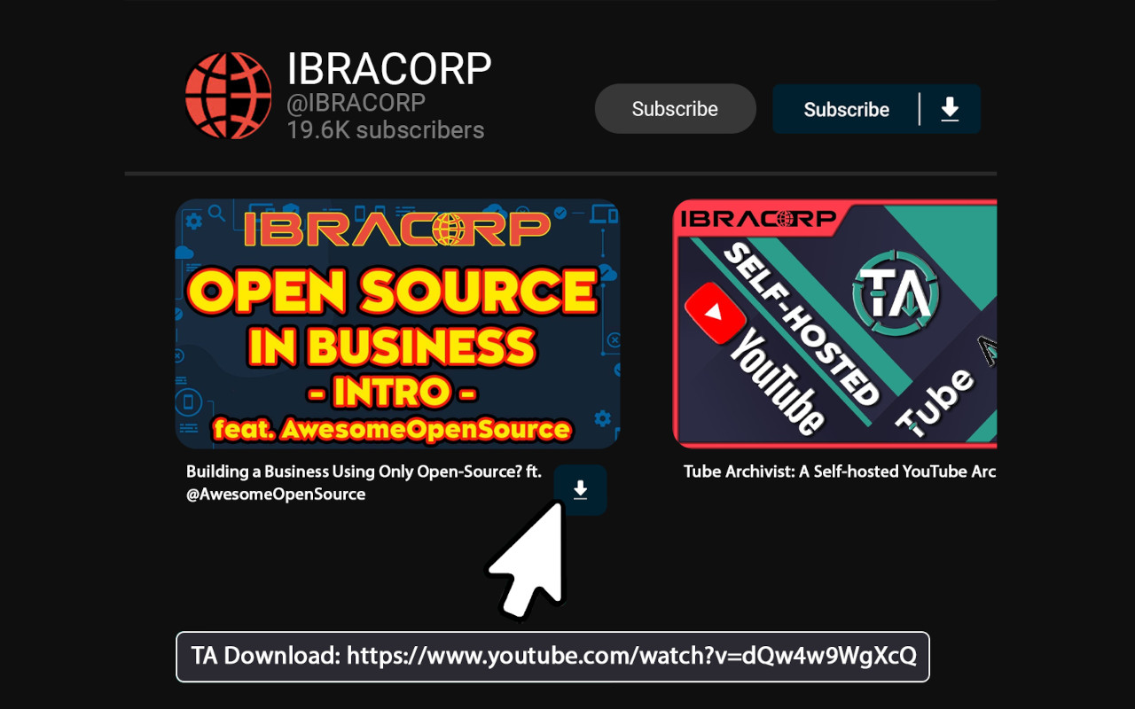 TubeArchivist Companion chrome谷歌浏览器插件_扩展第1张截图