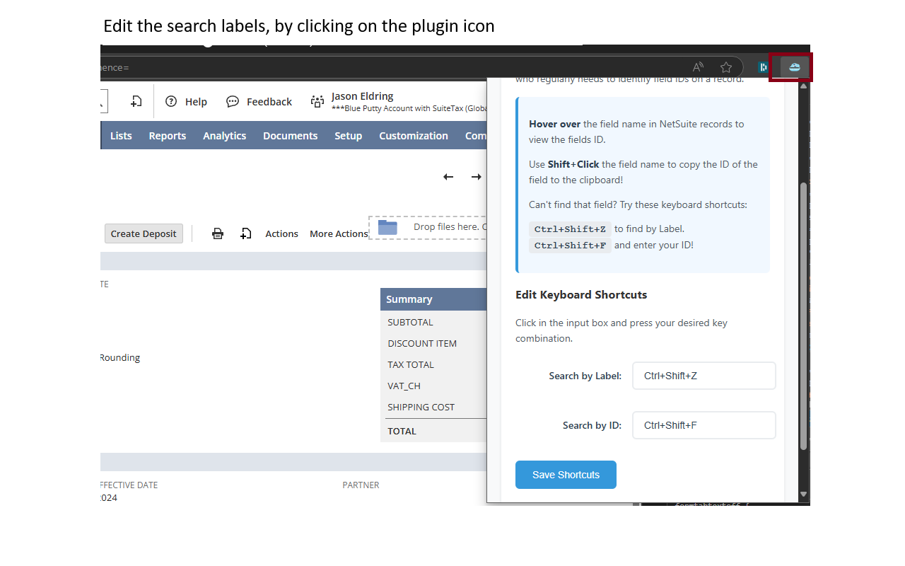Show Netsuite Field IDs chrome谷歌浏览器插件_扩展第3张截图