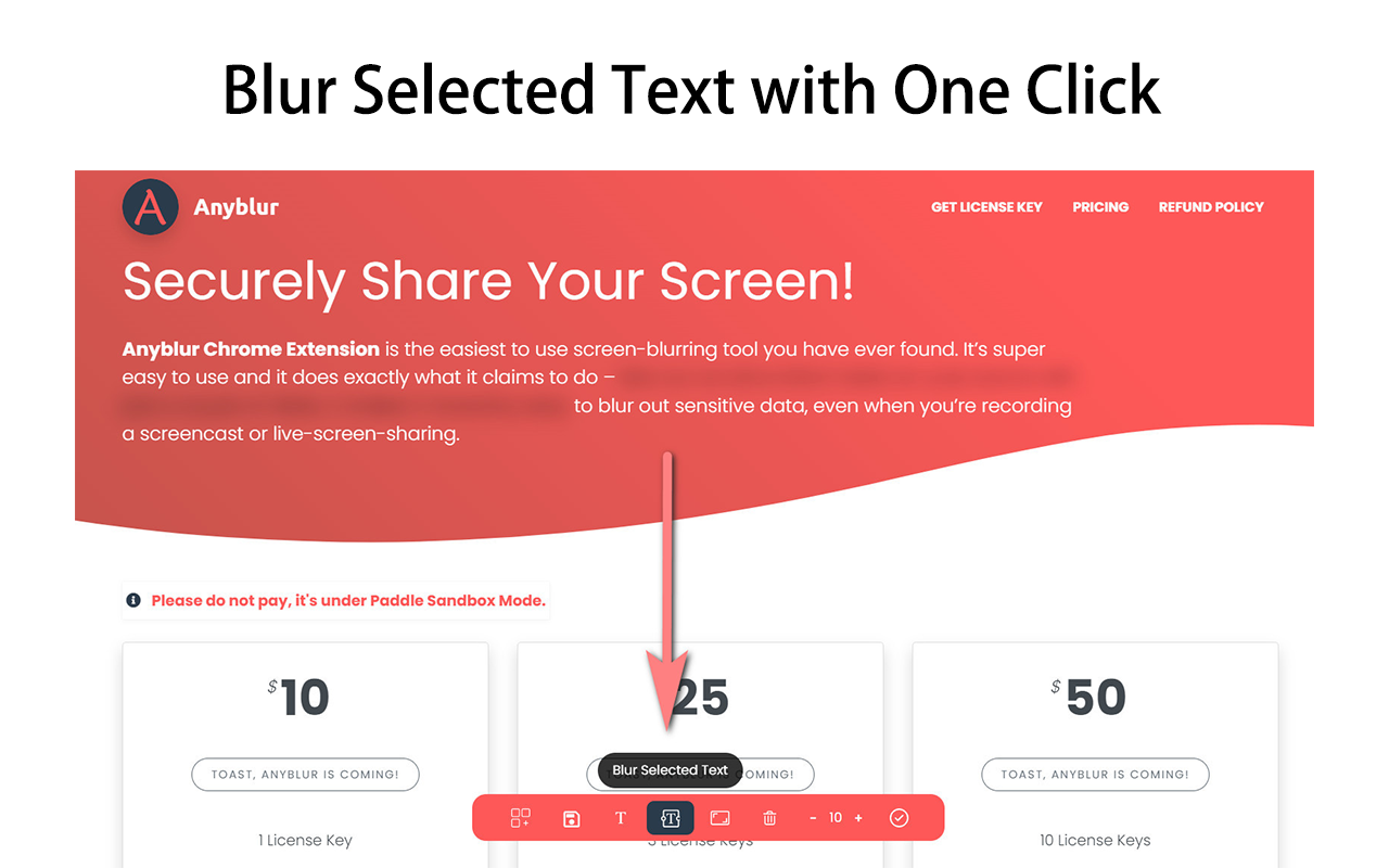 Anyblur - Conceal Sensitive Data in One Click chrome谷歌浏览器插件_扩展第3张截图