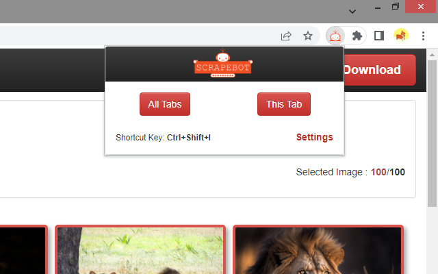 ScrapeBot 2.0.7 chrome谷歌浏览器插件_扩展第1张截图