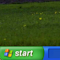 XP Newtab