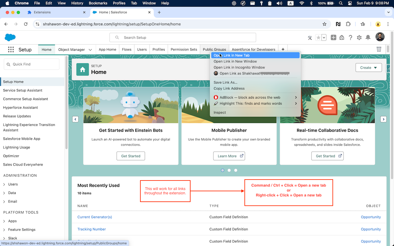 Salesforce Easy Navigator chrome谷歌浏览器插件_扩展第1张截图