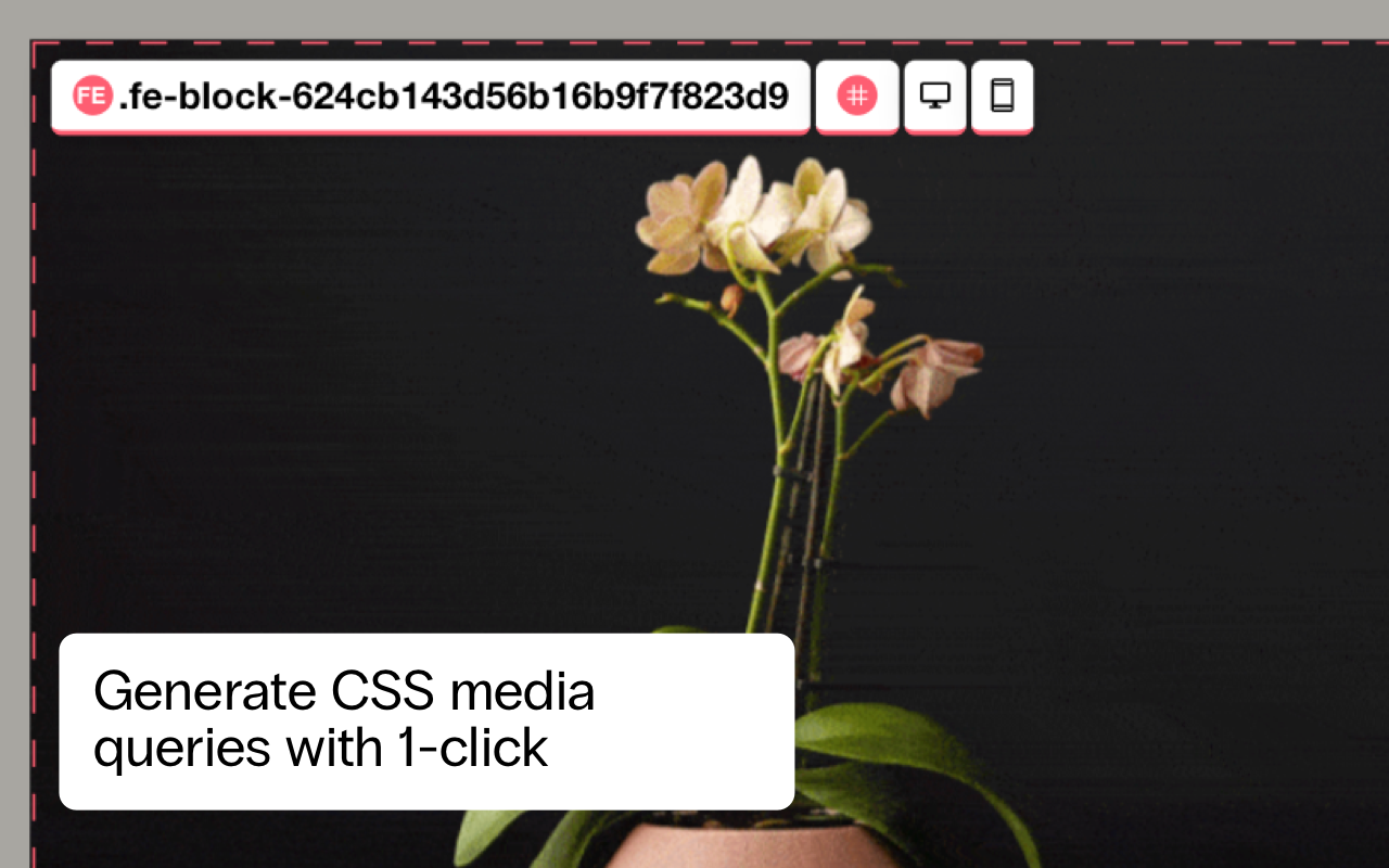 SquareSpace ID & class finder chrome谷歌浏览器插件_扩展第2张截图
