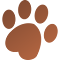Wallpaper Dogs & Puppies New Tab