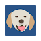 Puppy Tab