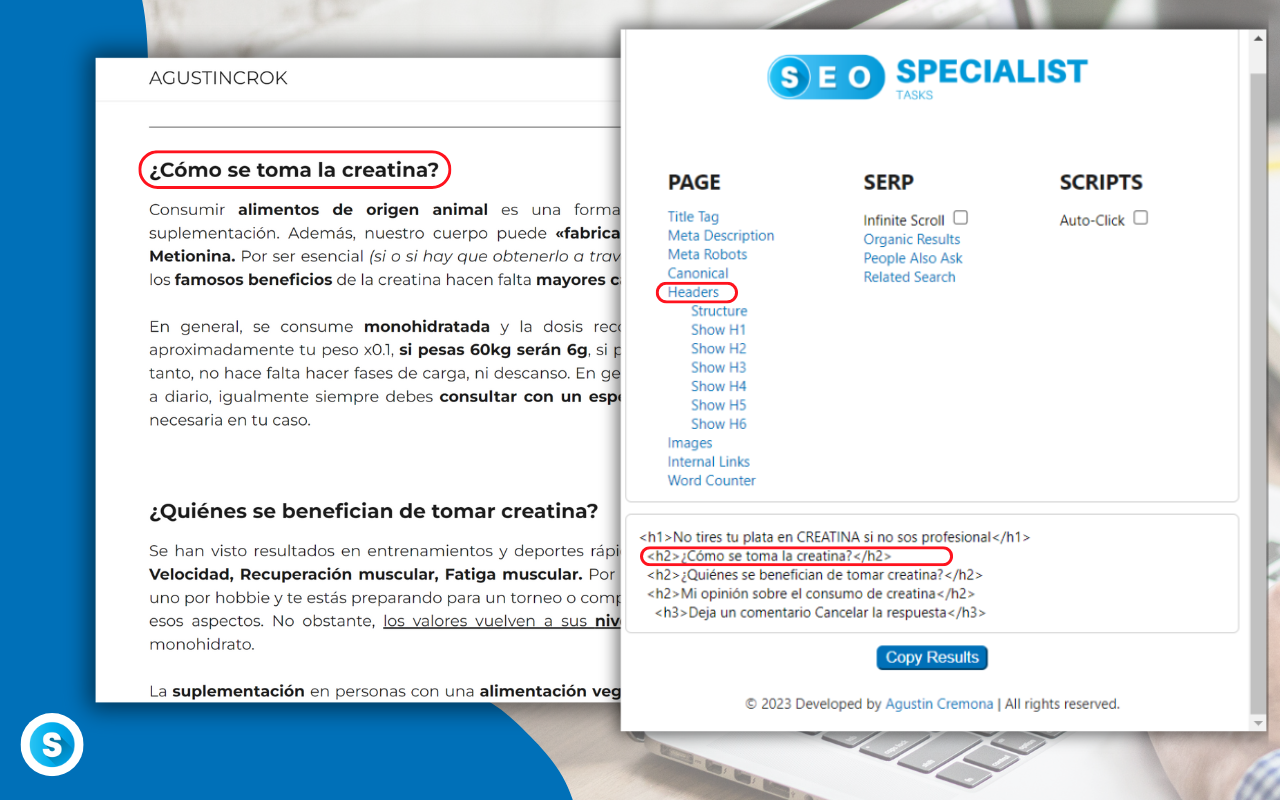 SEO Specialist Tasks chrome谷歌浏览器插件_扩展第4张截图