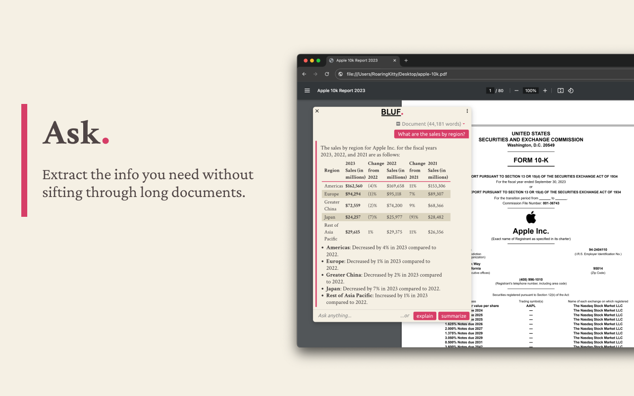 BLUF: Summarize PDF, YouTube & Websites chrome谷歌浏览器插件_扩展第2张截图