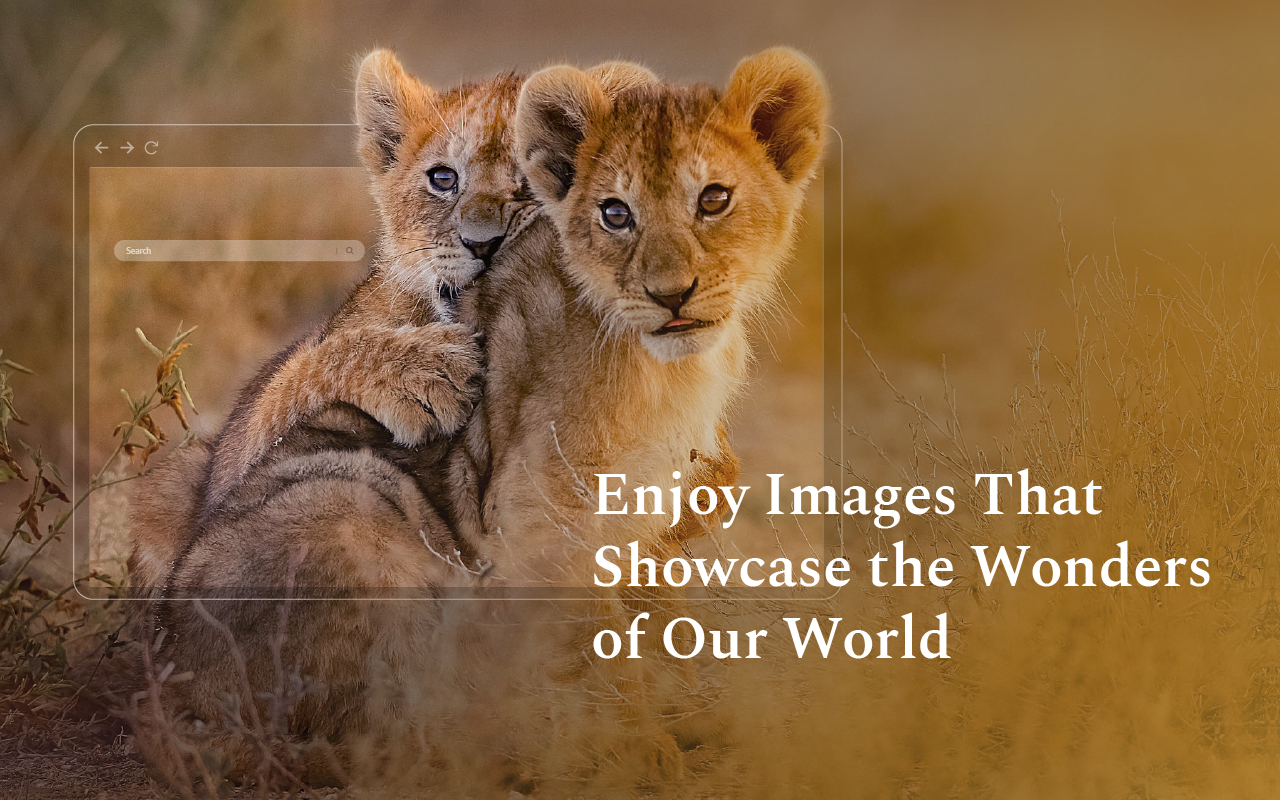 Nature Wallpapers New Tab Theme chrome谷歌浏览器插件_扩展第1张截图