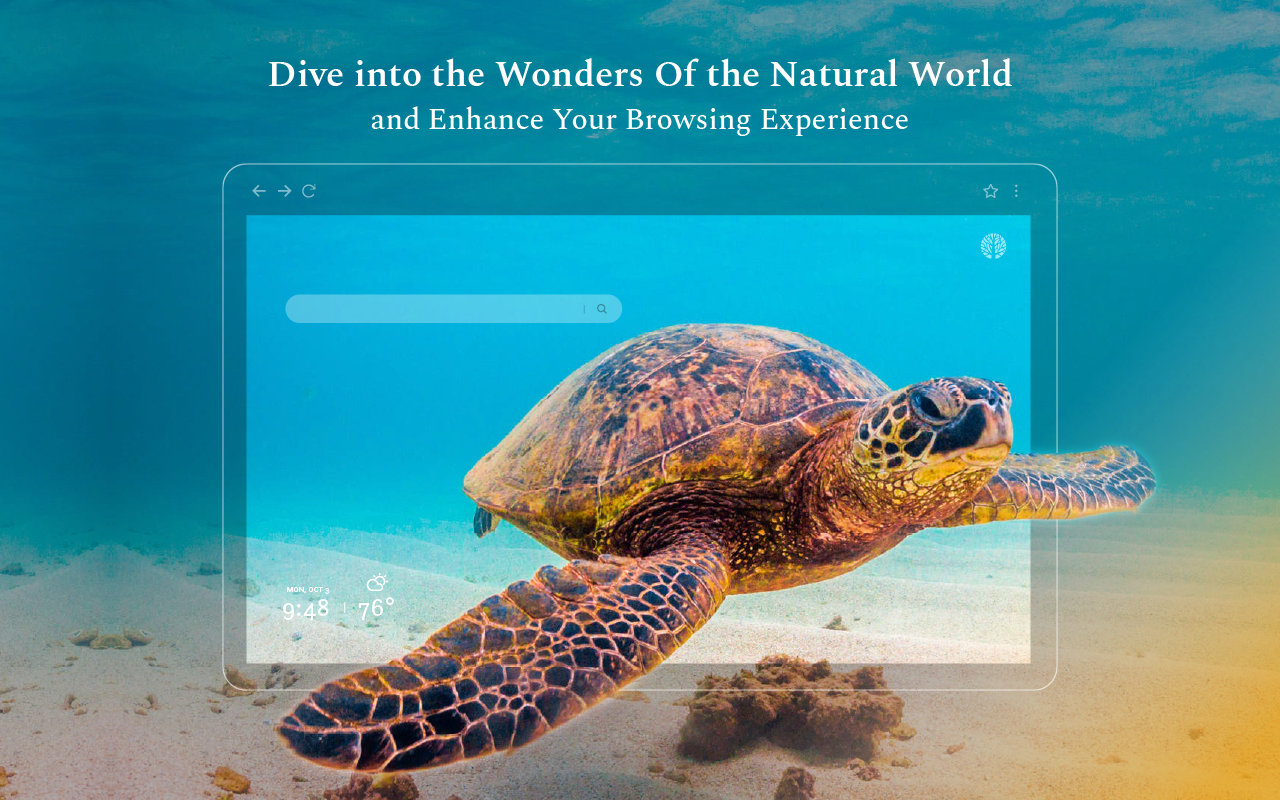 Nature Wallpapers New Tab Theme chrome谷歌浏览器插件_扩展第4张截图