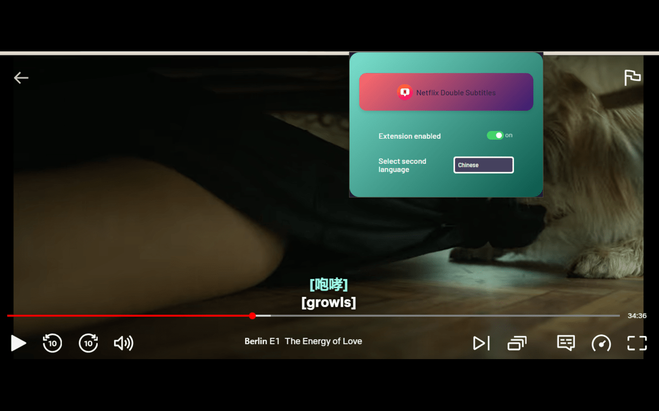 Netflix Double Subtitles chrome谷歌浏览器插件_扩展第2张截图