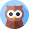 Wise Owl