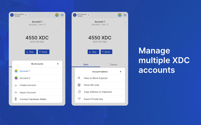XDCPay chrome谷歌浏览器插件_扩展第4张截图