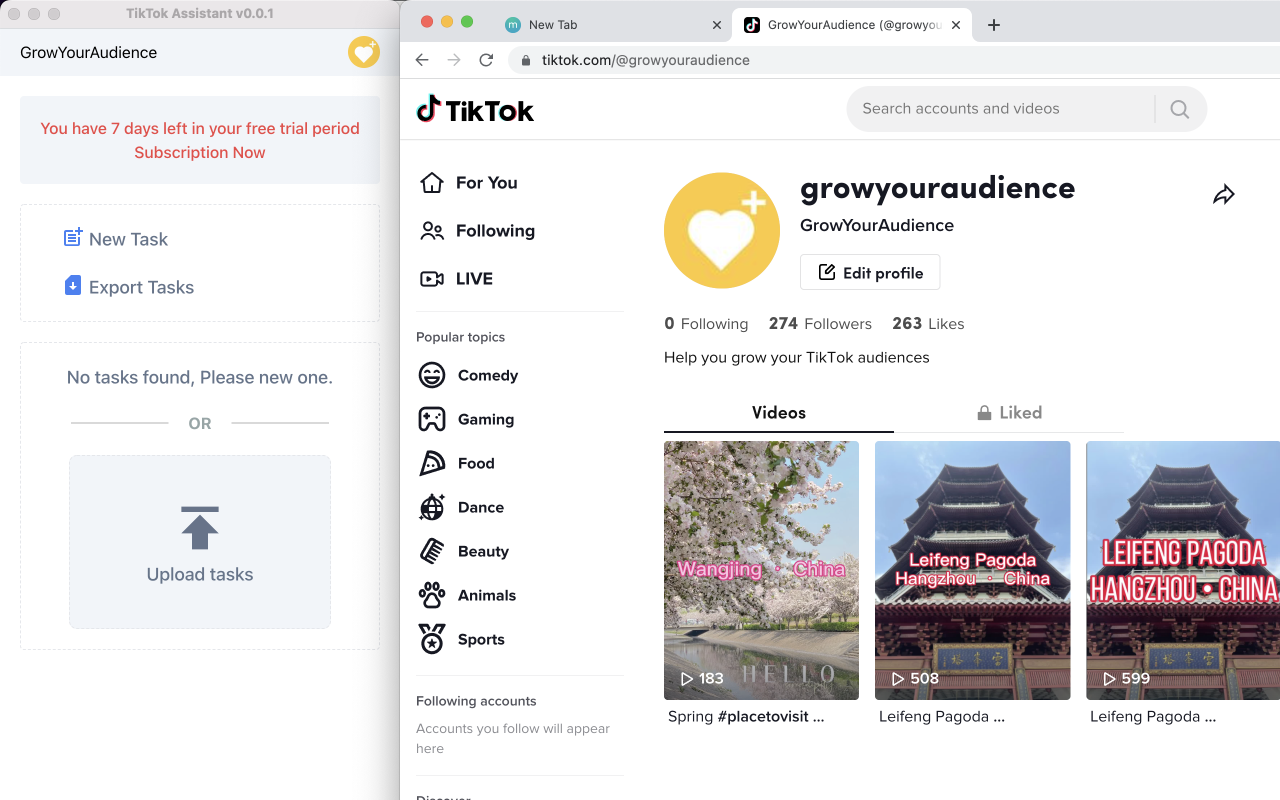 Rebotou - TikTok 自动评论和自动点赞机器人 chrome谷歌浏览器插件_扩展第1张截图