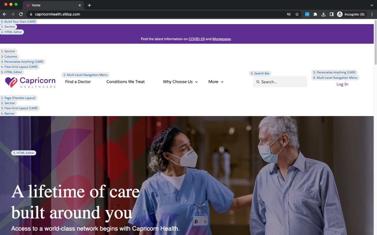 Lightning Web Runtime (LWR) Build Info chrome谷歌浏览器插件_扩展第3张截图