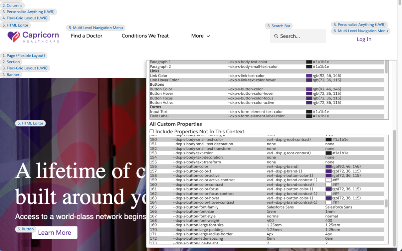 Lightning Web Runtime (LWR) Build Info chrome谷歌浏览器插件_扩展第4张截图