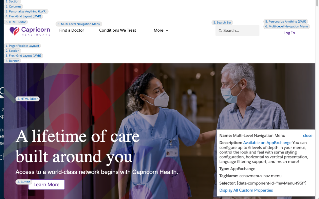 Lightning Web Runtime (LWR) Build Info chrome谷歌浏览器插件_扩展第5张截图