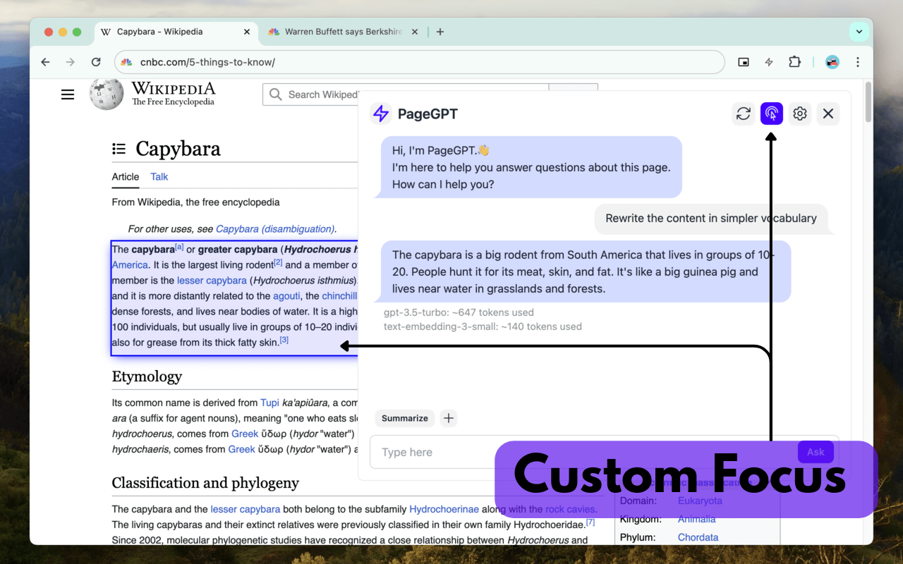 PageGPT: Your context-aware AI chatbot chrome谷歌浏览器插件_扩展第2张截图
