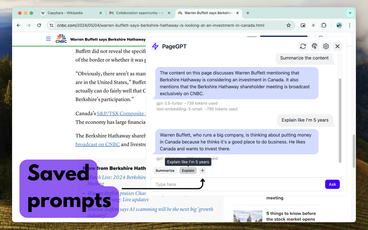 PageGPT: Your context-aware AI chatbot chrome谷歌浏览器插件_扩展第3张截图