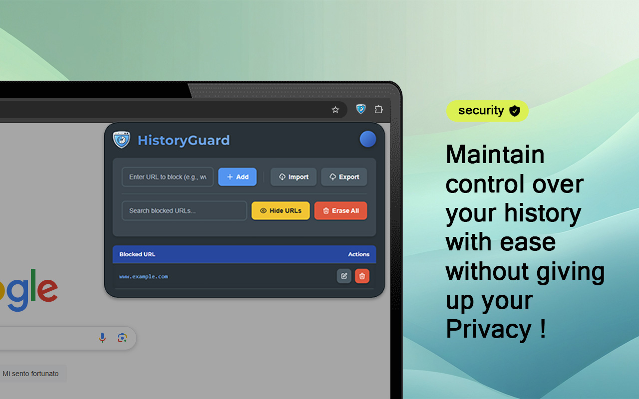 HistoryGuard chrome谷歌浏览器插件_扩展第1张截图