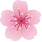 Unlimited Free Screen Recorder - Bloom