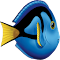 DORy
