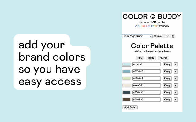 Color Buddy chrome谷歌浏览器插件_扩展第3张截图