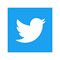 Get back Twitter icon LOGO 图标
