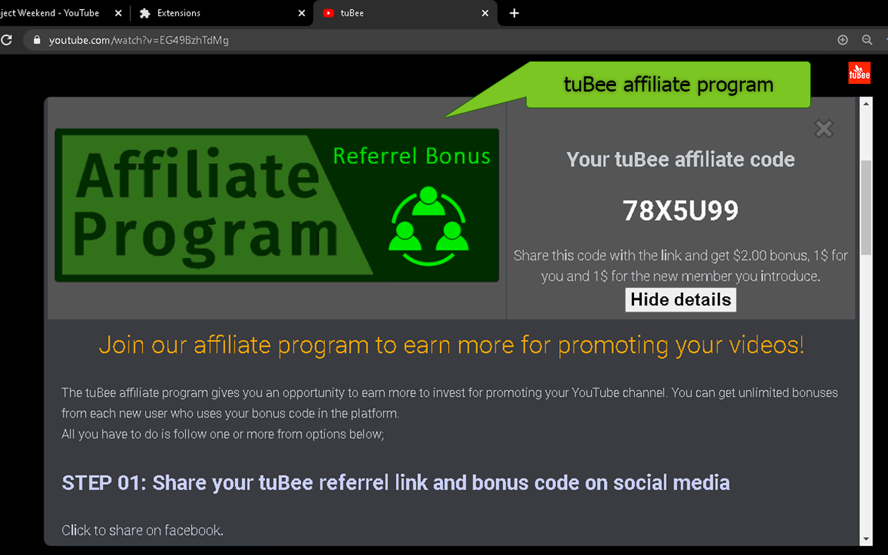tuBee chrome谷歌浏览器插件_扩展第1张截图