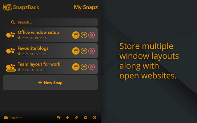 SnapzBack - Multi Layout Manager: Sync & Save chrome谷歌浏览器插件_扩展第4张截图