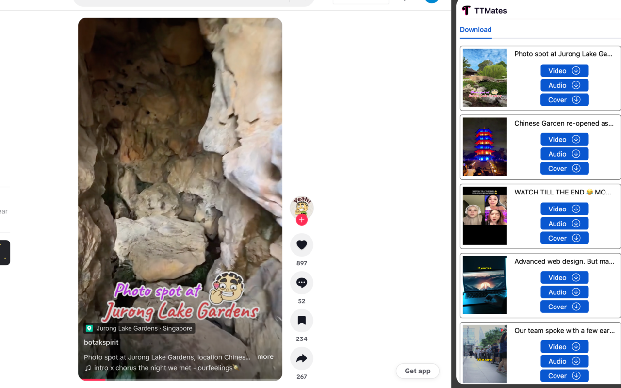 TikTok Download - TTMates chrome谷歌浏览器插件_扩展第2张截图