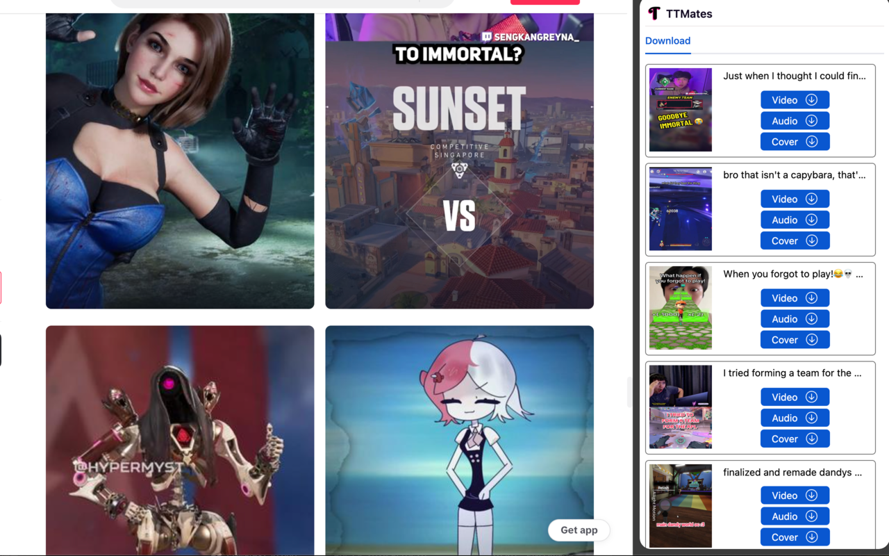 TikTok Download - TTMates chrome谷歌浏览器插件_扩展第3张截图