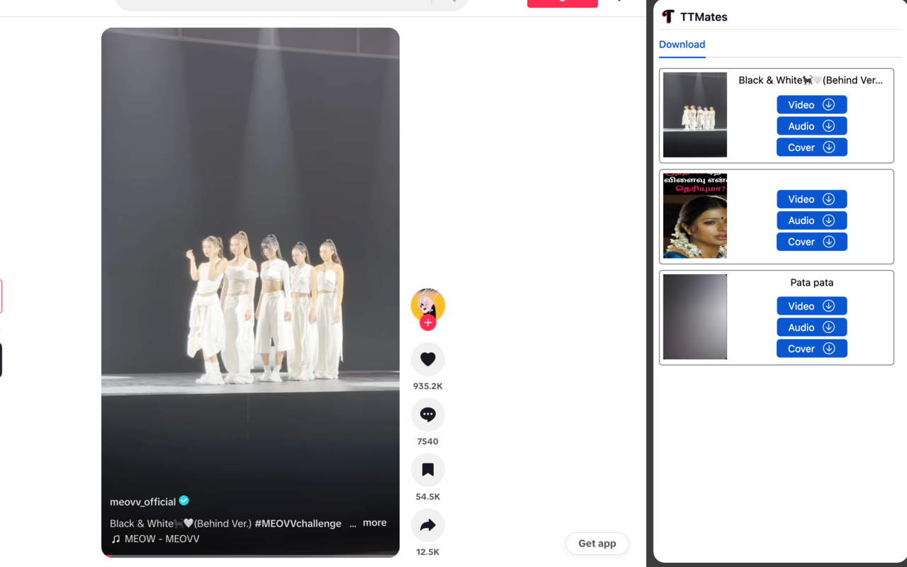 TikTok Download - TTMates chrome谷歌浏览器插件_扩展第5张截图