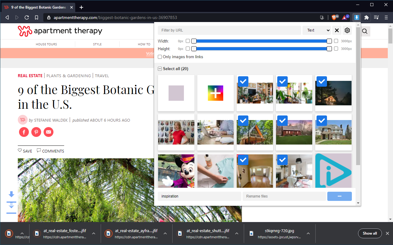 Image Downloader chrome谷歌浏览器插件_扩展第2张截图