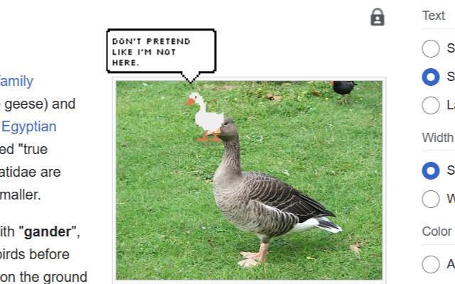 Annoying Goose chrome谷歌浏览器插件_扩展第2张截图