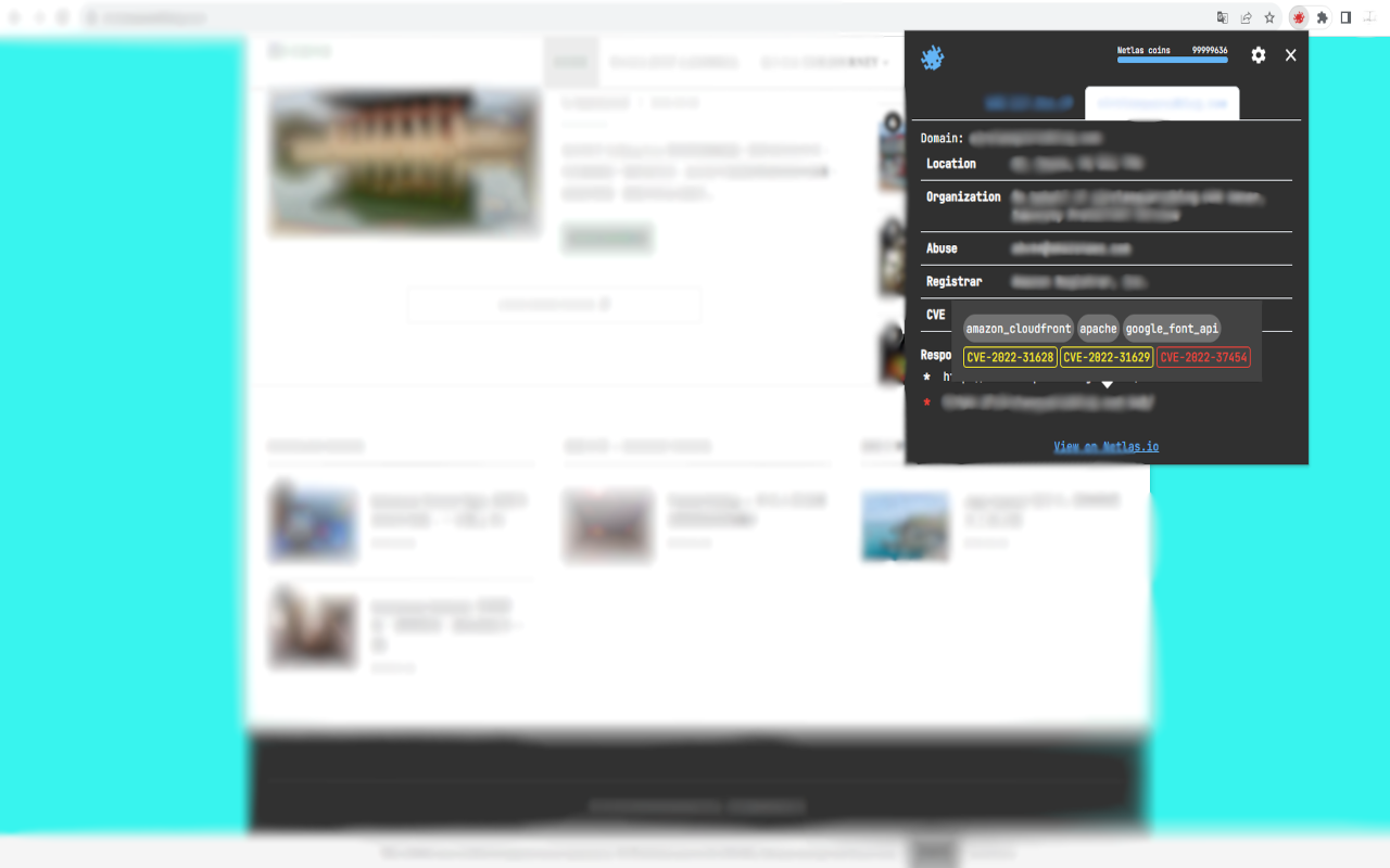 Netlas.io chrome谷歌浏览器插件_扩展第1张截图