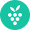 AI Meeting Notes Taker & Screen Recorder