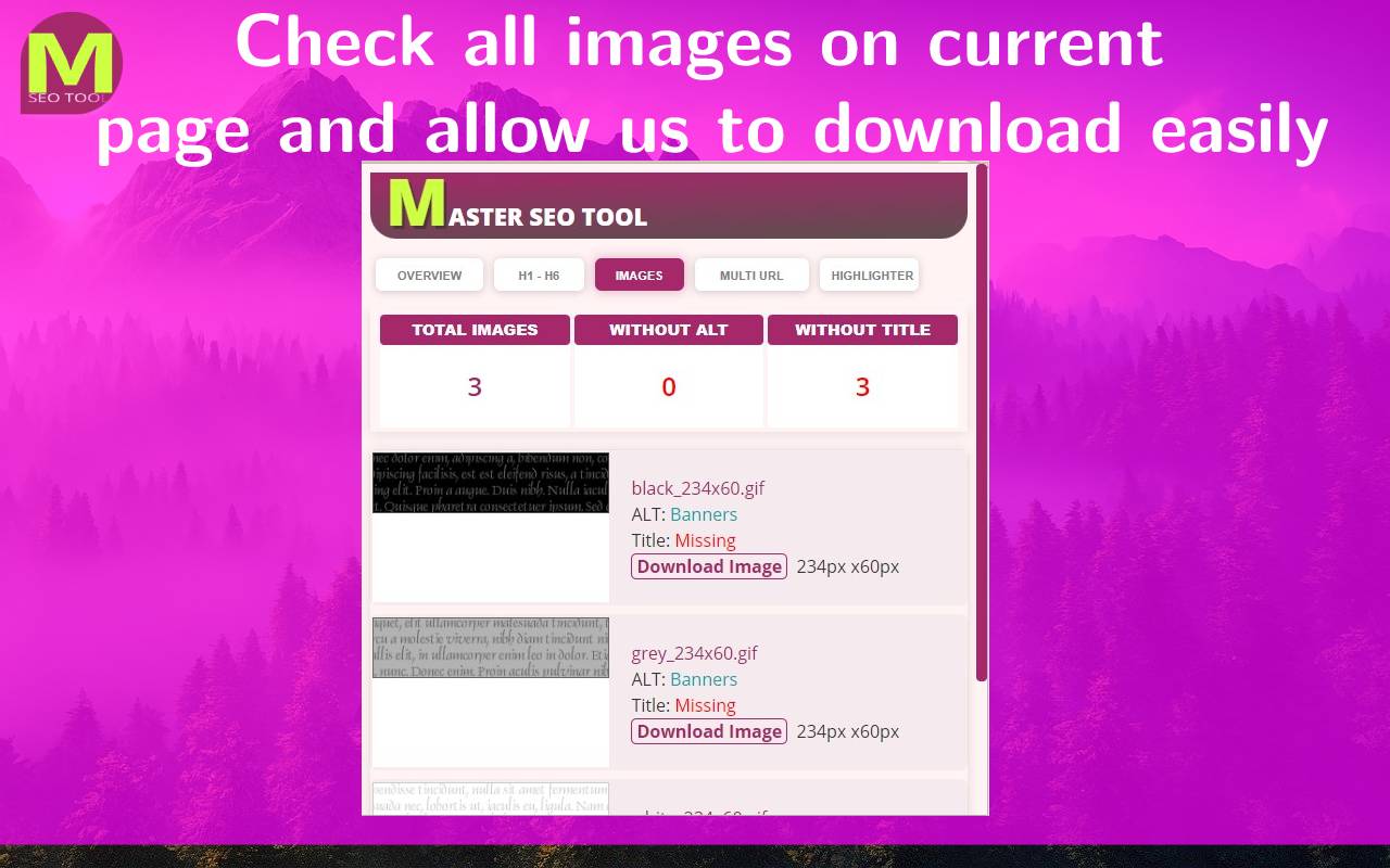 MASTER SEO Tool- SERP Counter & Meta chrome谷歌浏览器插件_扩展第2张截图