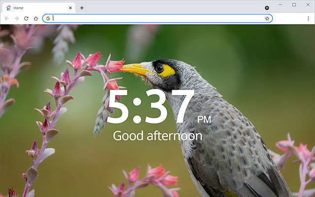Home page by Scott chrome谷歌浏览器插件_扩展第3张截图