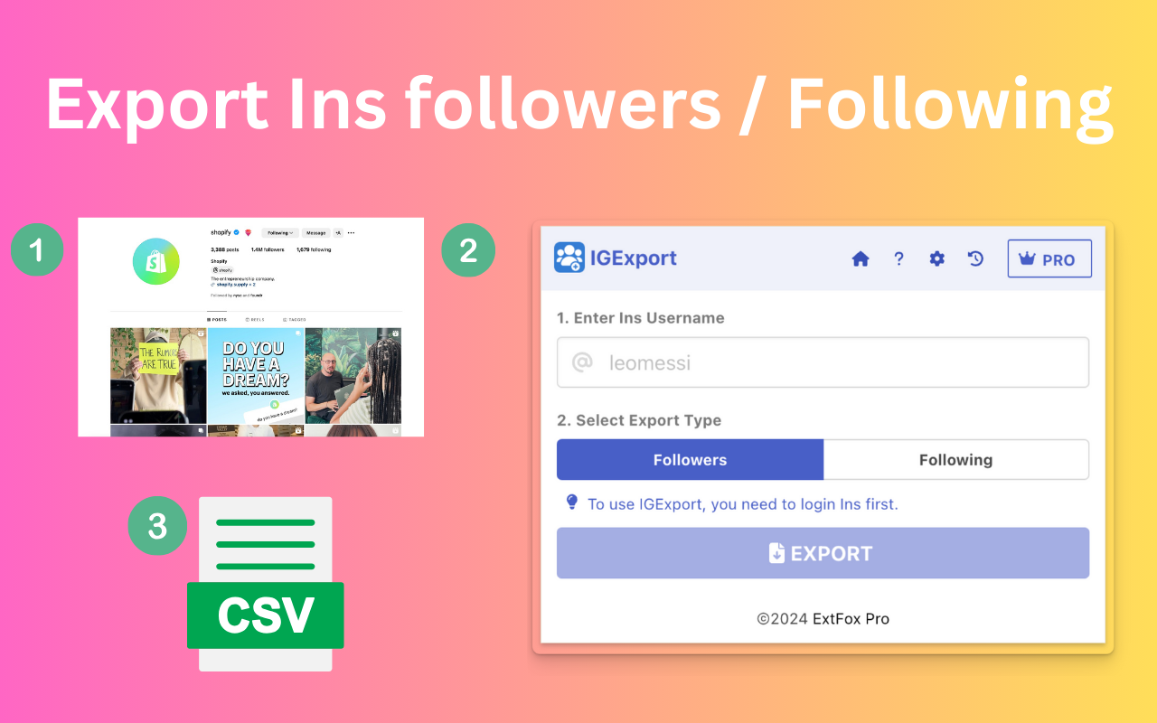 IGExport - Ins关注者和正在关注导出 chrome谷歌浏览器插件_扩展第1张截图