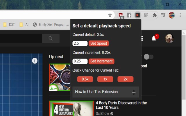 YouTube Default Playback Speed chrome谷歌浏览器插件_扩展第1张截图