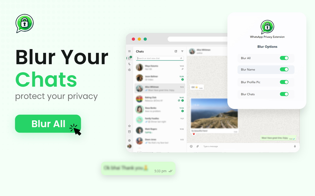 WhatsApp Privacy Extension chrome谷歌浏览器插件_扩展第4张截图