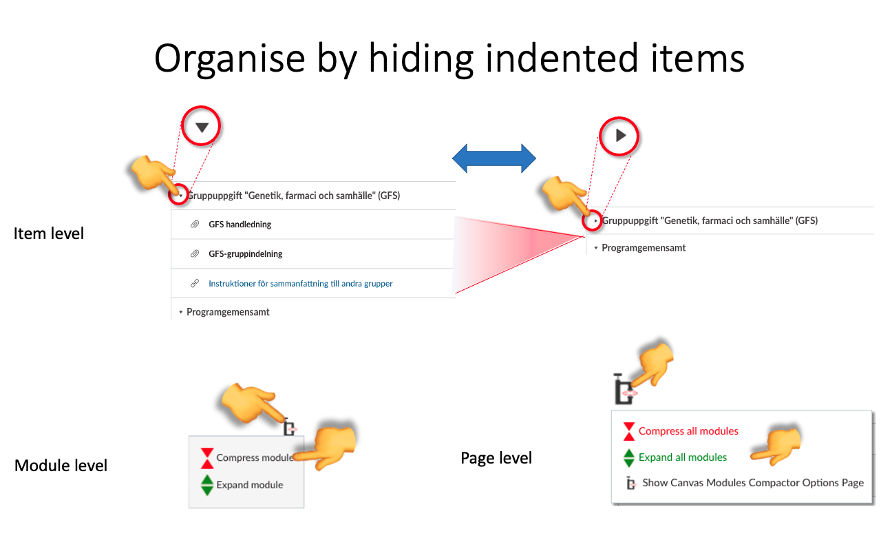 Canvas Modules Organiser chrome谷歌浏览器插件_扩展第4张截图