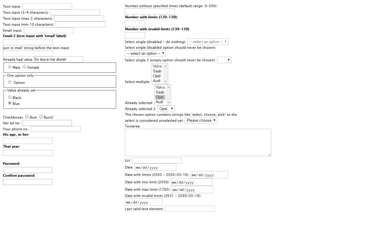Dummy Form Filler chrome谷歌浏览器插件_扩展第3张截图