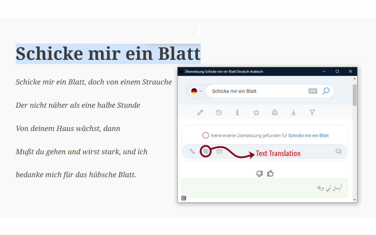 Arabdict chrome谷歌浏览器插件_扩展第2张截图