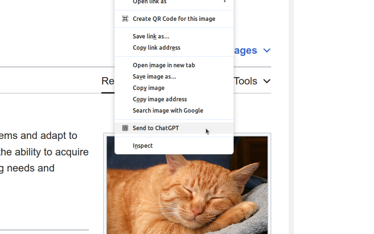 ChatGPT Xtra chrome谷歌浏览器插件_扩展第2张截图