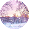 Winter Snow Wallpaper