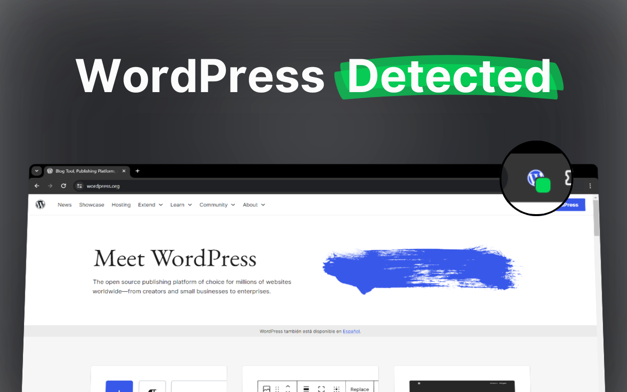 WordPress主题和插件检测器 chrome谷歌浏览器插件_扩展第2张截图