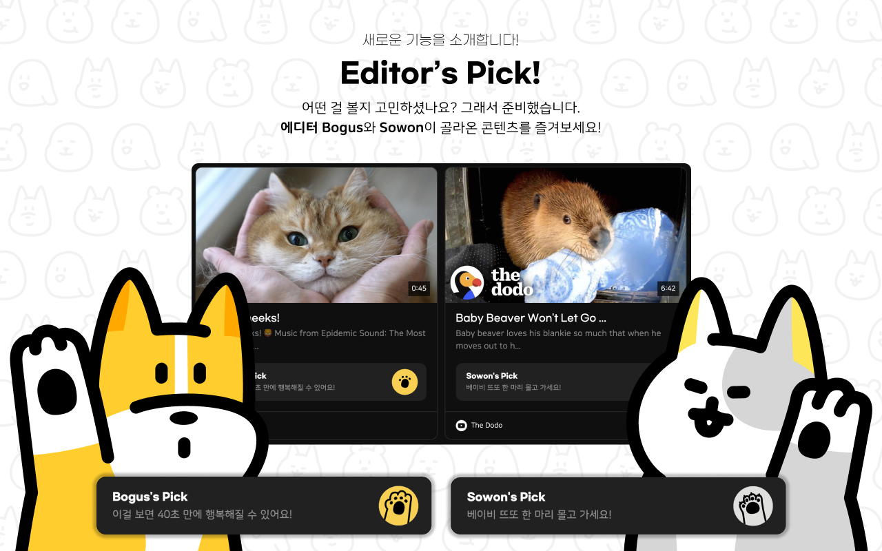 Cutify - 큐티파이 chrome谷歌浏览器插件_扩展第1张截图