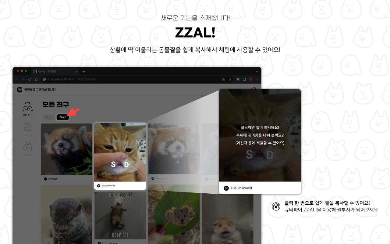 Cutify - 큐티파이 chrome谷歌浏览器插件_扩展第3张截图