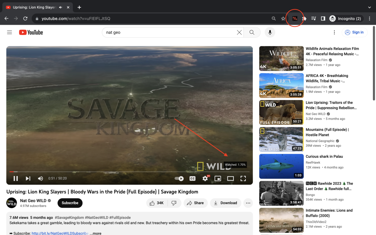 Youtube Progress Viewer chrome谷歌浏览器插件_扩展第1张截图